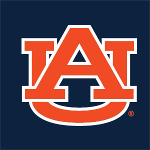 Auburn University Logo Blue Nintendo 2DS XL (2017) Skin